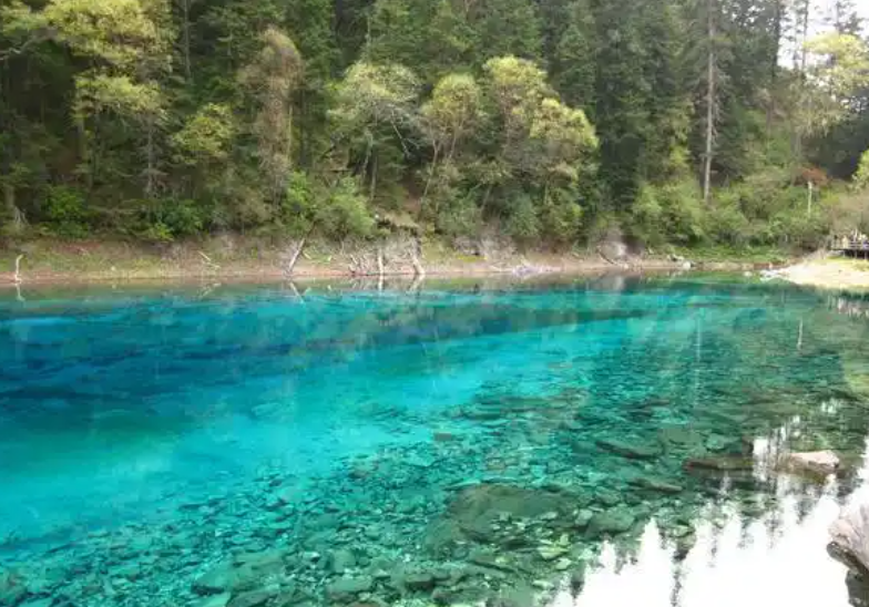 游客在九寨沟景区买到假银锁